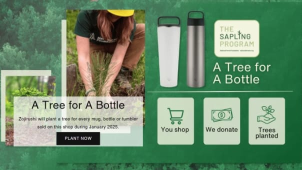 National Forest Foundation the Sapling Program
