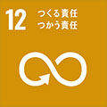 icon_sdgs12